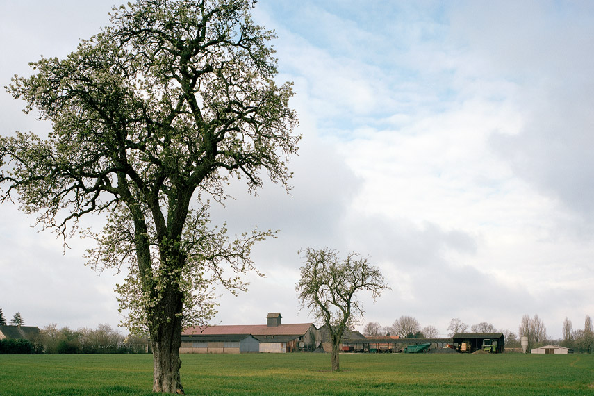 2008