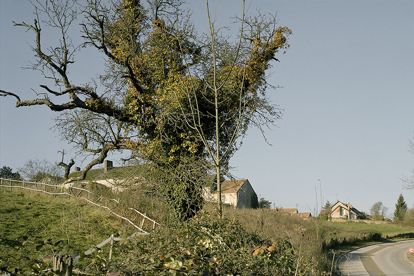 2007