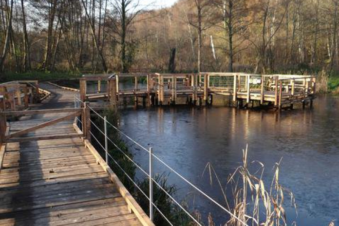Marais de Maincourt