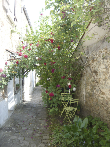 Coin Jardin