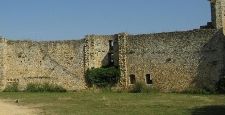 Château de la Madeleine