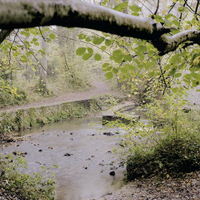 2004