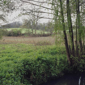 2005